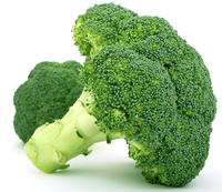 Broccoli.png
