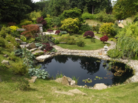 GardenPond.png