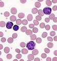 Thumbnail for version as of 16:16, 4 September 2018