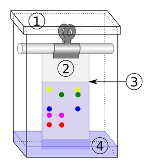 ChromatographyDiagram.png
