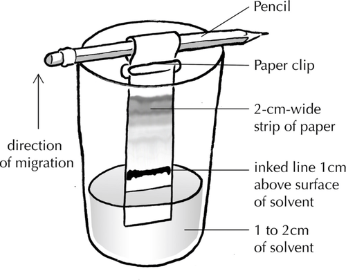 ChromatographyExperimentDiagram.png