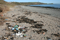 BeachLitter.png