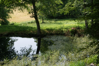 NatureReserve.png