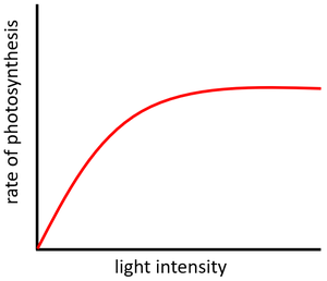 PhotosynthesisRateLightIntensity.png
